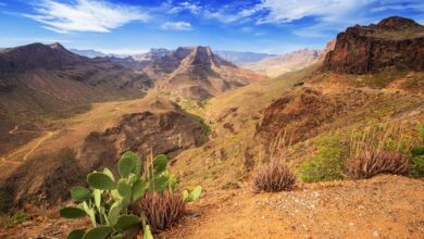 Photo of What is the Best Time to Visit Gran Canaria?