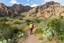 Photo of To Big Bend National Park – A Perfect Guide for Your Visit